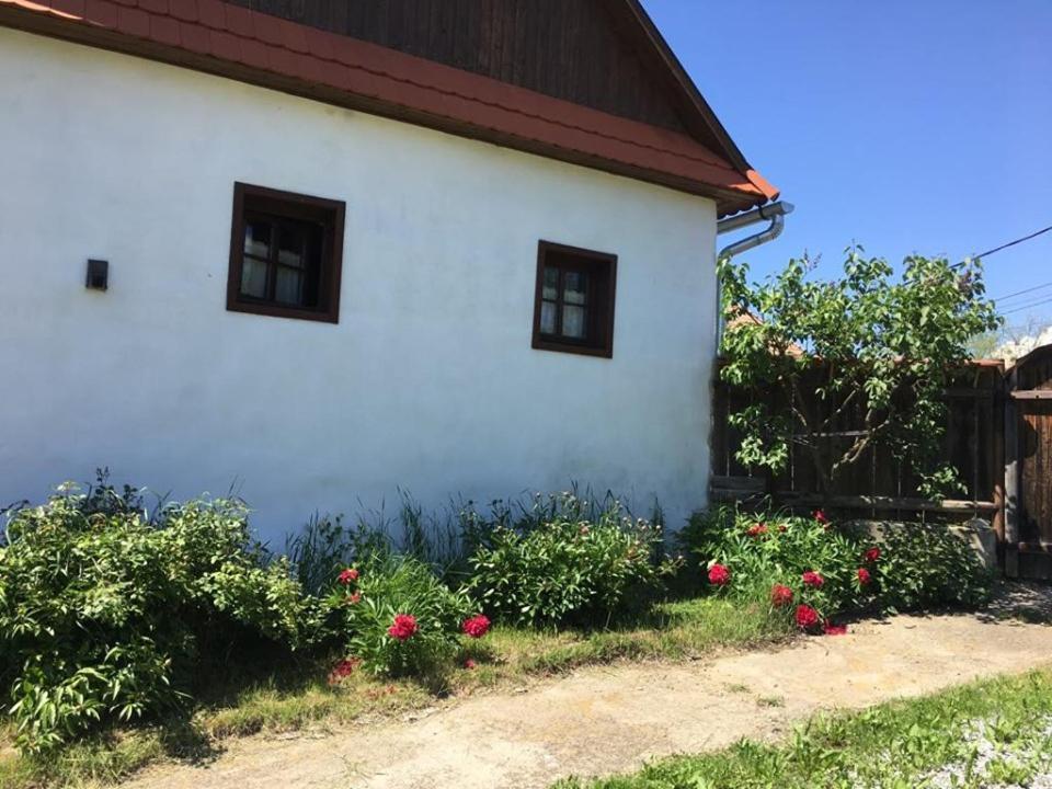 Miklos Lak Ocna de Sus Buitenkant foto